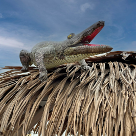a close up of a tree